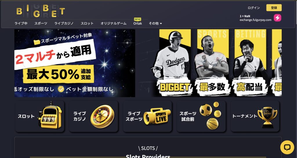 ビッグベットカジノ
